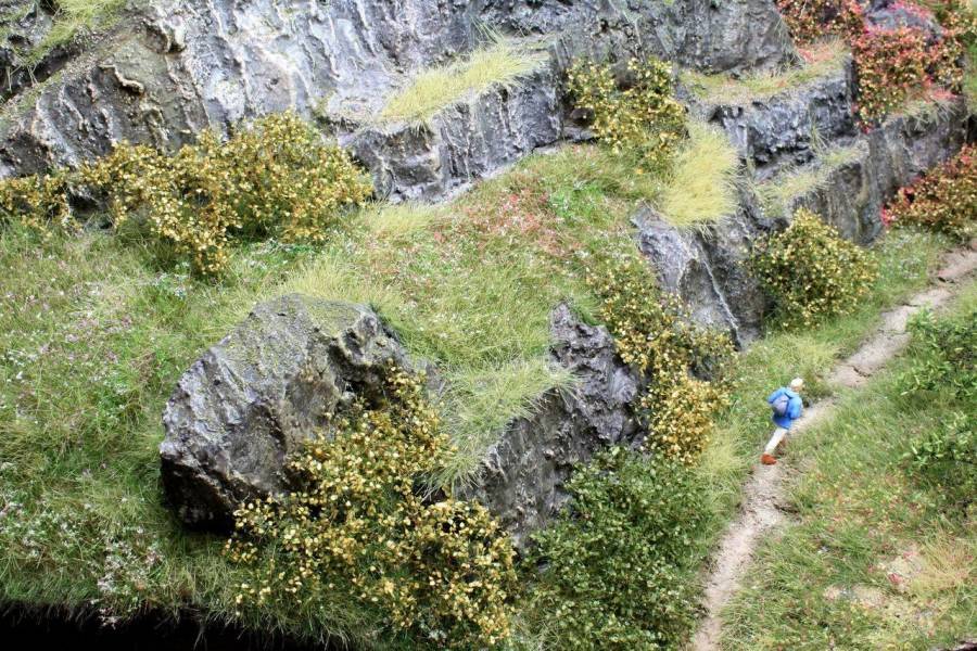 Der strukturierte und farblich abgestimmte Feldweg.