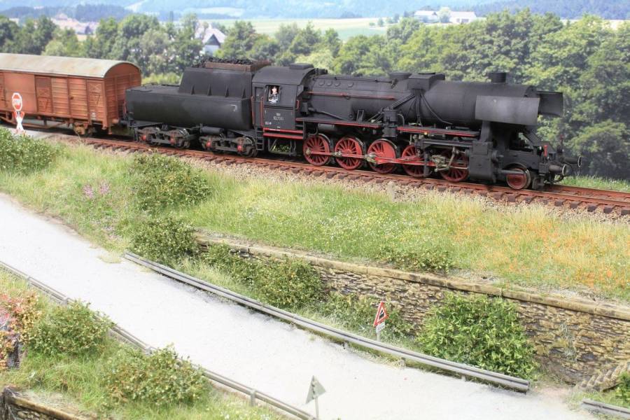 Unterschiedliche Faserlängen und Farbtöne beleben die erste Wiesenhälfte.