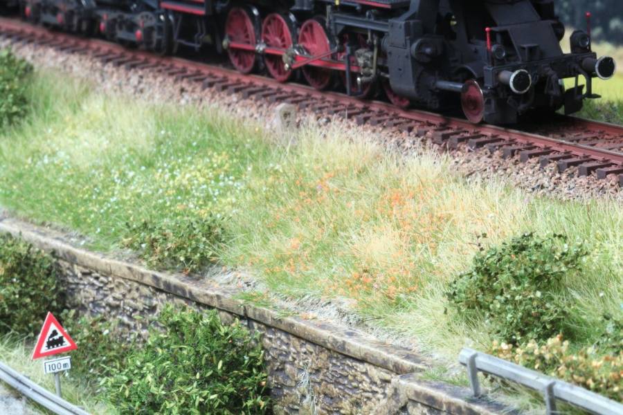 Pflanzen, kleine kahle Stellen und unregelmäßige Kanten machen den Feldweg lebendig.
