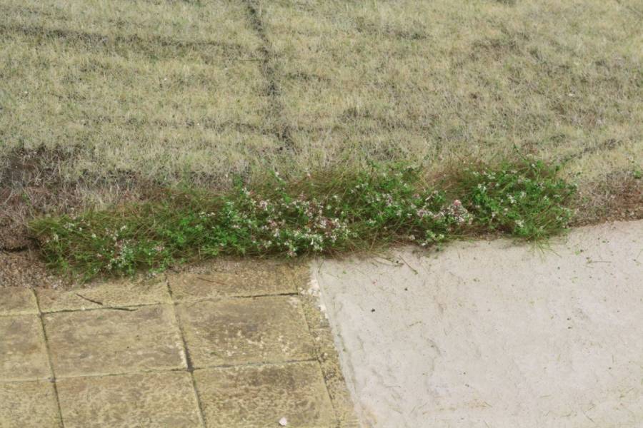 Kleine Mattenreste eignen sich hervorragend, um etwas Leben in die Wiese zu bringen oder Übergänge zu schaffen.