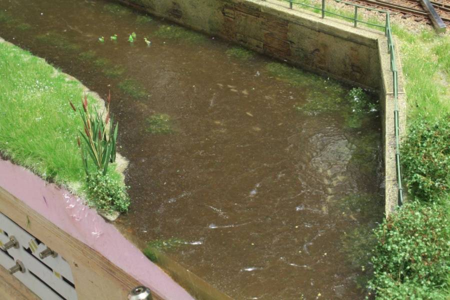Nun kräuseln sich die Wellen leicht an der Wasseroberfläche. Die ersten Pflanzen wachsen bereits am Ufer.