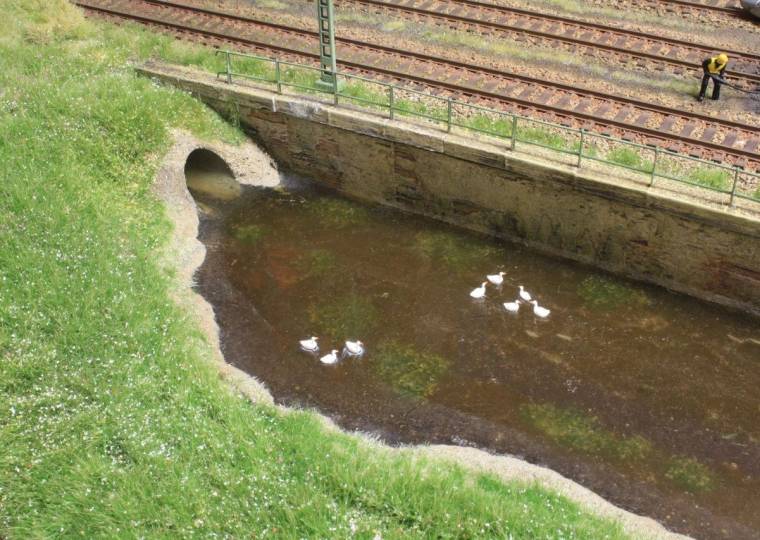 Enten auf dem Bach