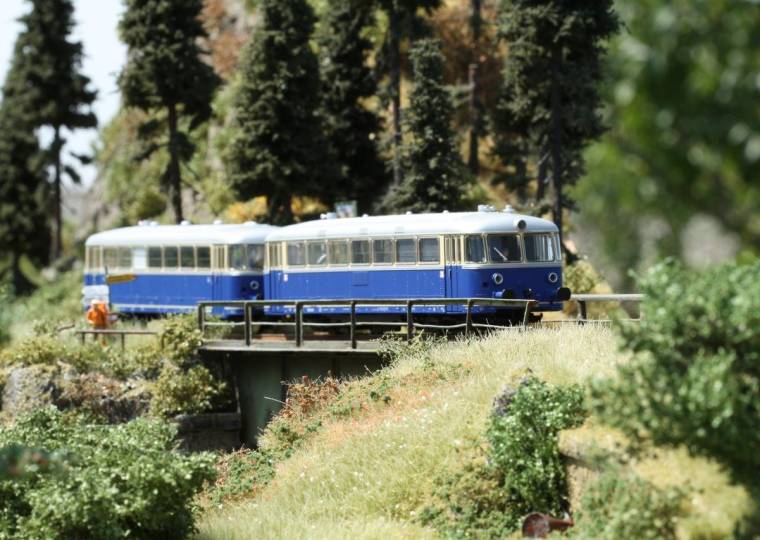 Schienenbus zwischen Brücke und Fichten