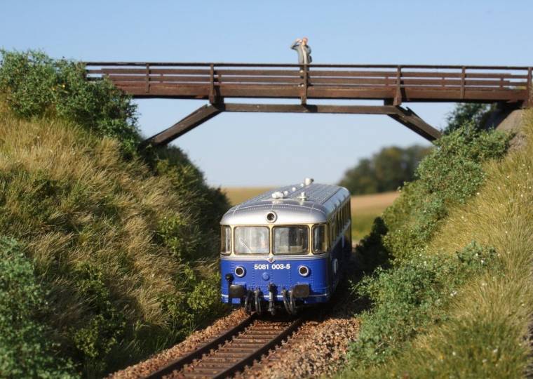 Zug unter der Holzbrücke